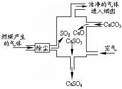 探究氣體組成的元素分析 SO?、O?與H?的可能性解析